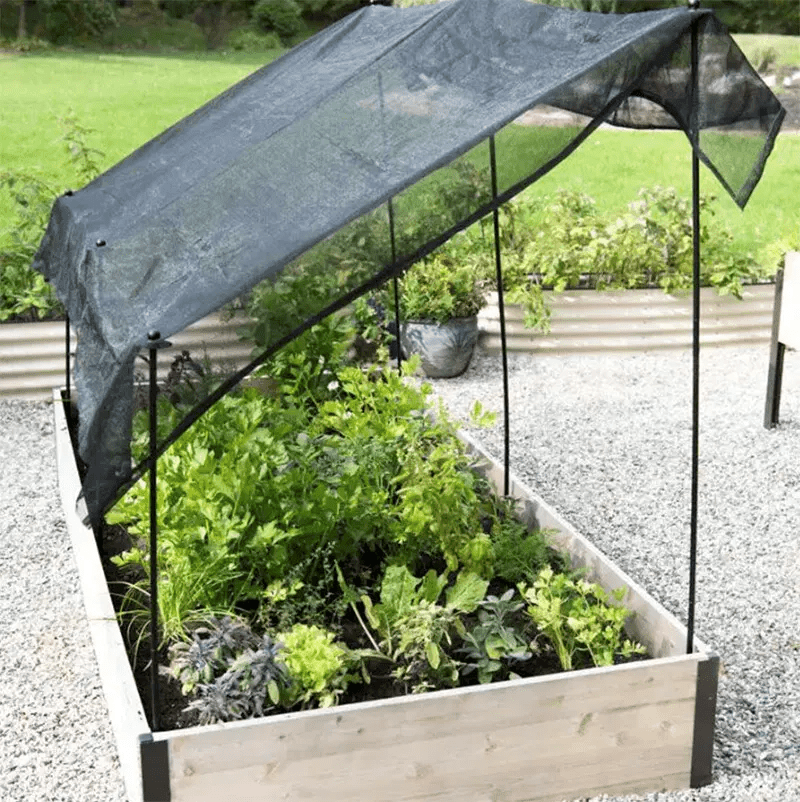 Summer Gardening Tips