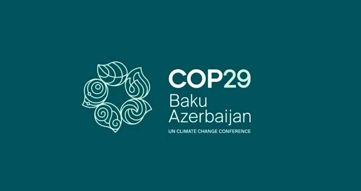 COP 29 Image