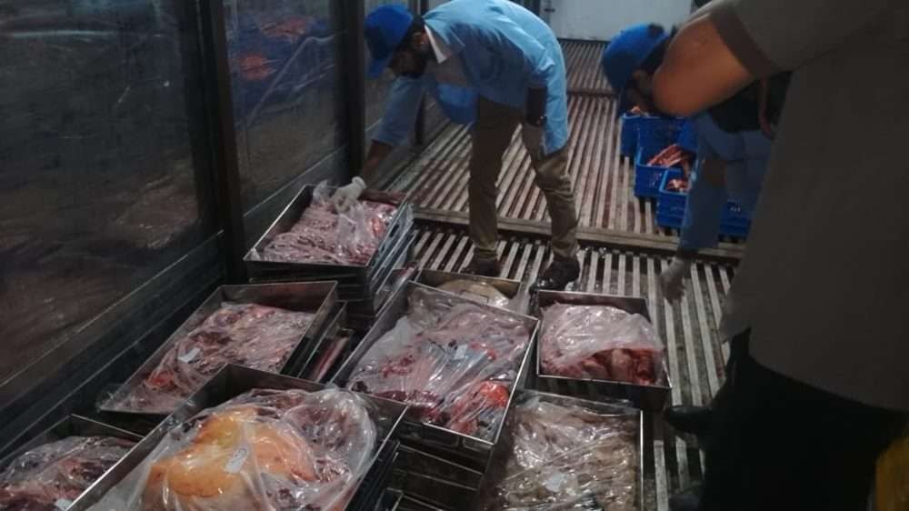 Islamabad Donkey meat raid, 1,000 Kg meat seized, Foreign national arrested