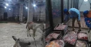 Islamabad Donkey Meat raid
